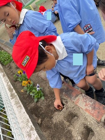 https://www.kinder.nara-u.ac.jp/772b9b879cc5c4d5085a1f74acc7d29f9797fef3.jpeg
