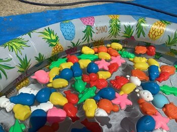 https://www.kinder.nara-u.ac.jp/9de3060f056c326f8e1e23e2471c585cc1caf9c8.JPG