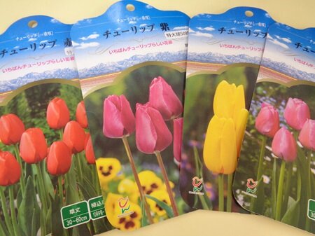 https://www.kinder.nara-u.ac.jp/DSC04314.JPG
