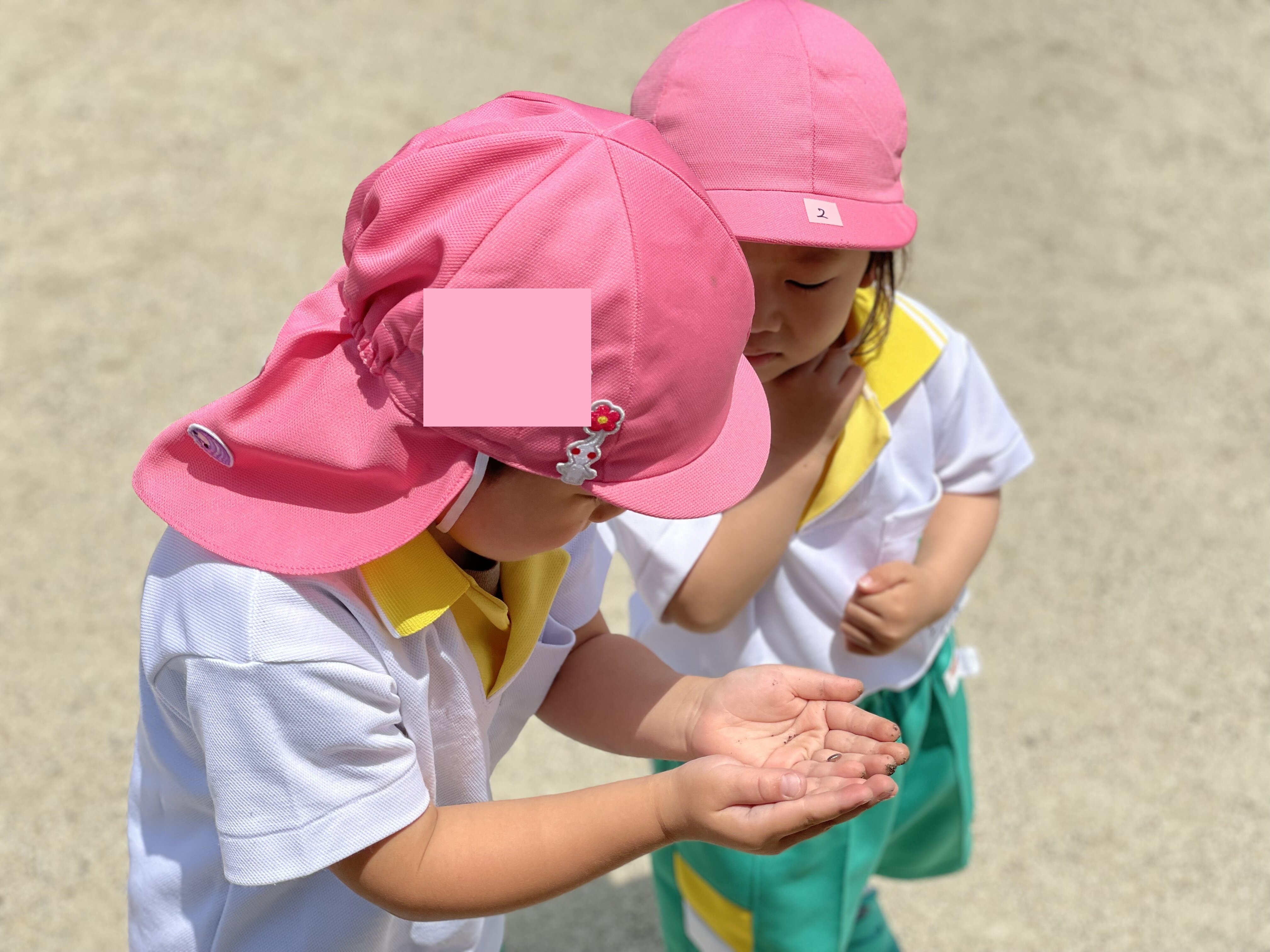 https://www.kinder.nara-u.ac.jp/ab44921fd93d4592eadb695536b0e2eb6b0f7f65.jpg