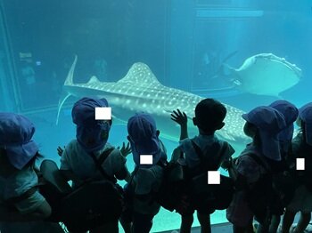 ジンベイさんヨコ.jpg