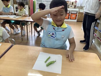そうじゅ.JPG
