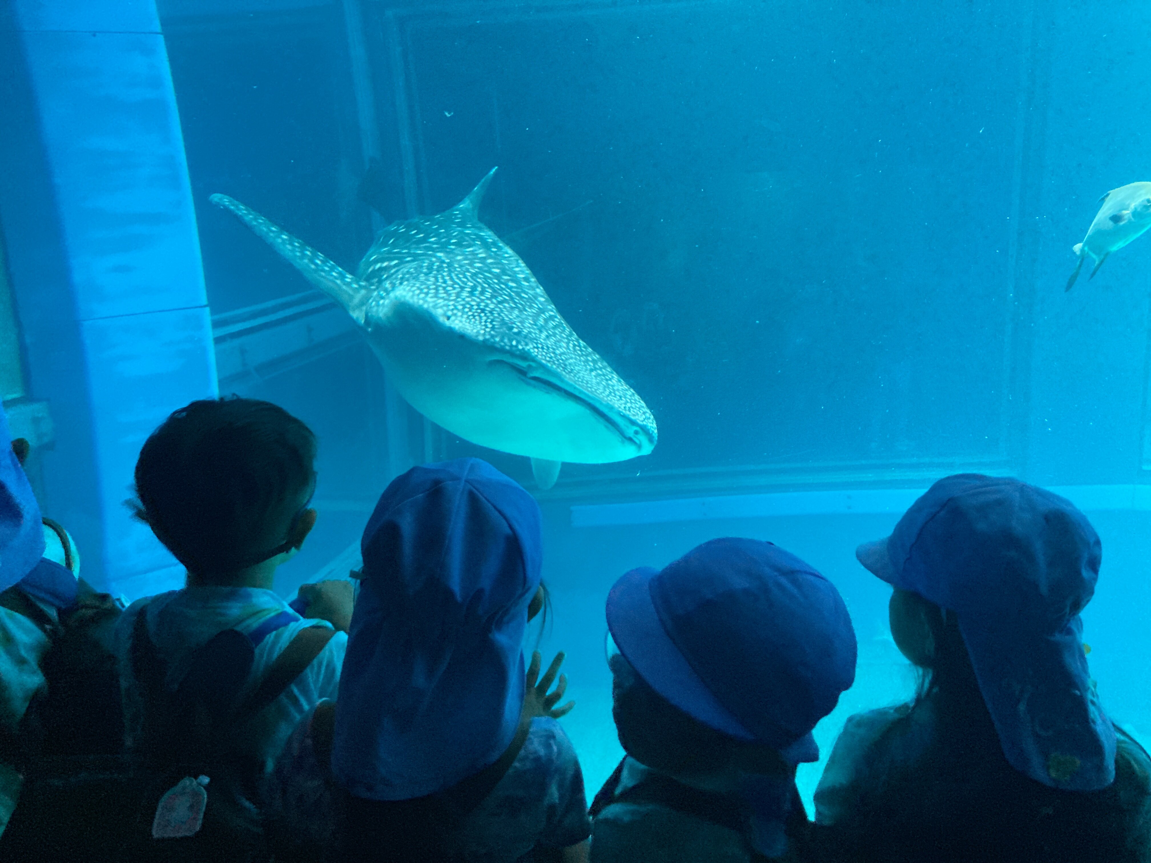 https://www.kinder.nara-u.ac.jp/baee12d459cadf8d32f93e0f11629ab290a00b58.JPG