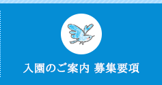 入園のご案内 募集要項 