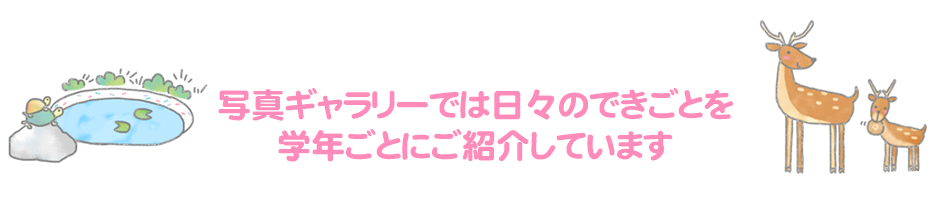 写真ギャラリーでは日々のできごとを学年ごとにご紹介しています